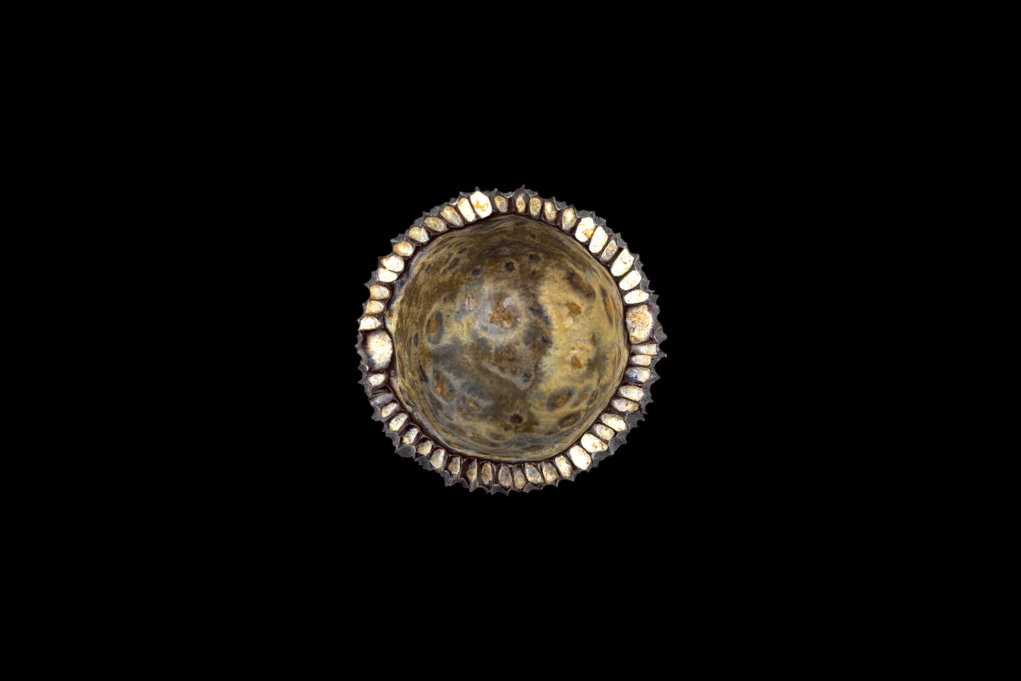 Lacerated ashtray #013