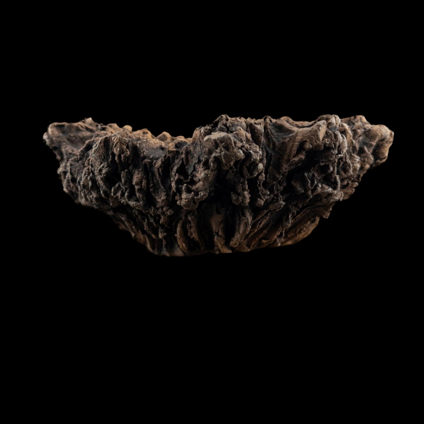 Visceral Erosion #028