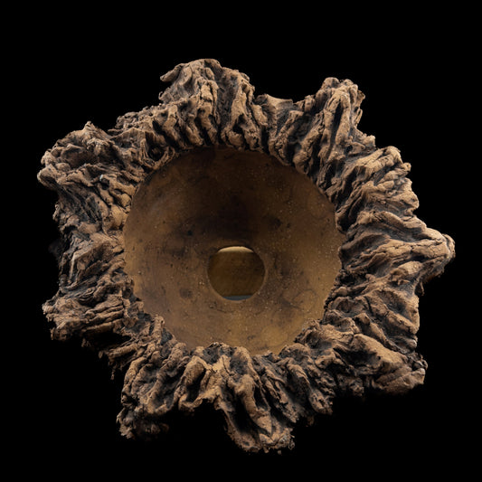 Visceral Erosion #028