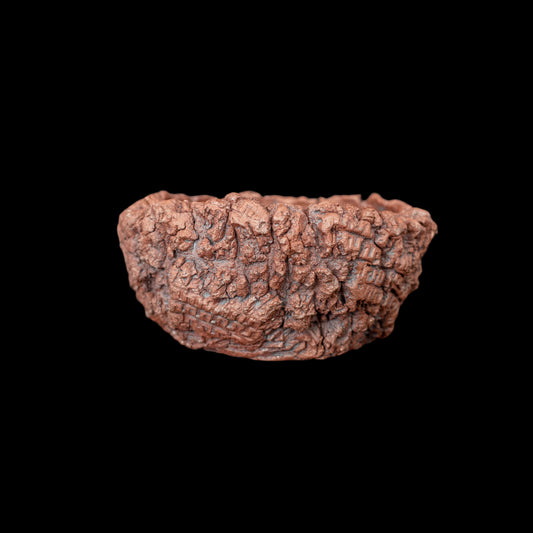 The Treasures of Pompeii #016