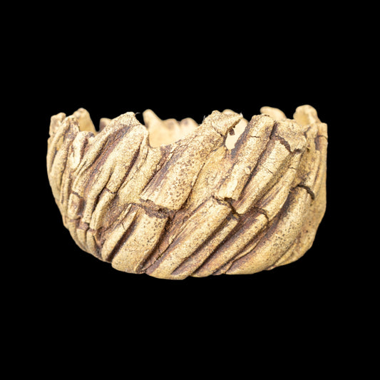 Crevice Corrosion #025