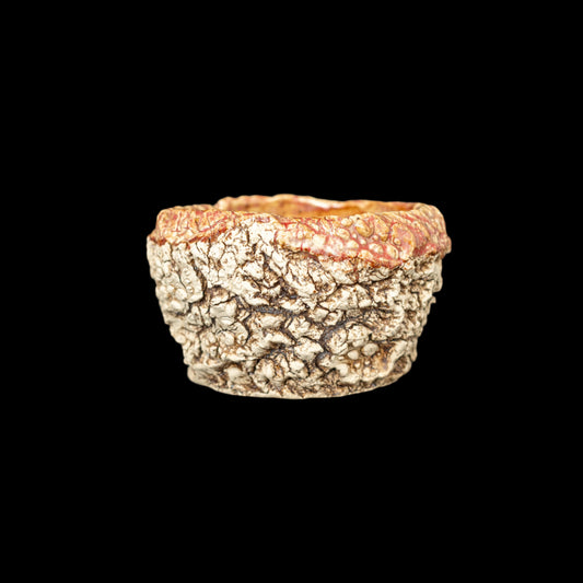 The Treasures of Pompeii #017