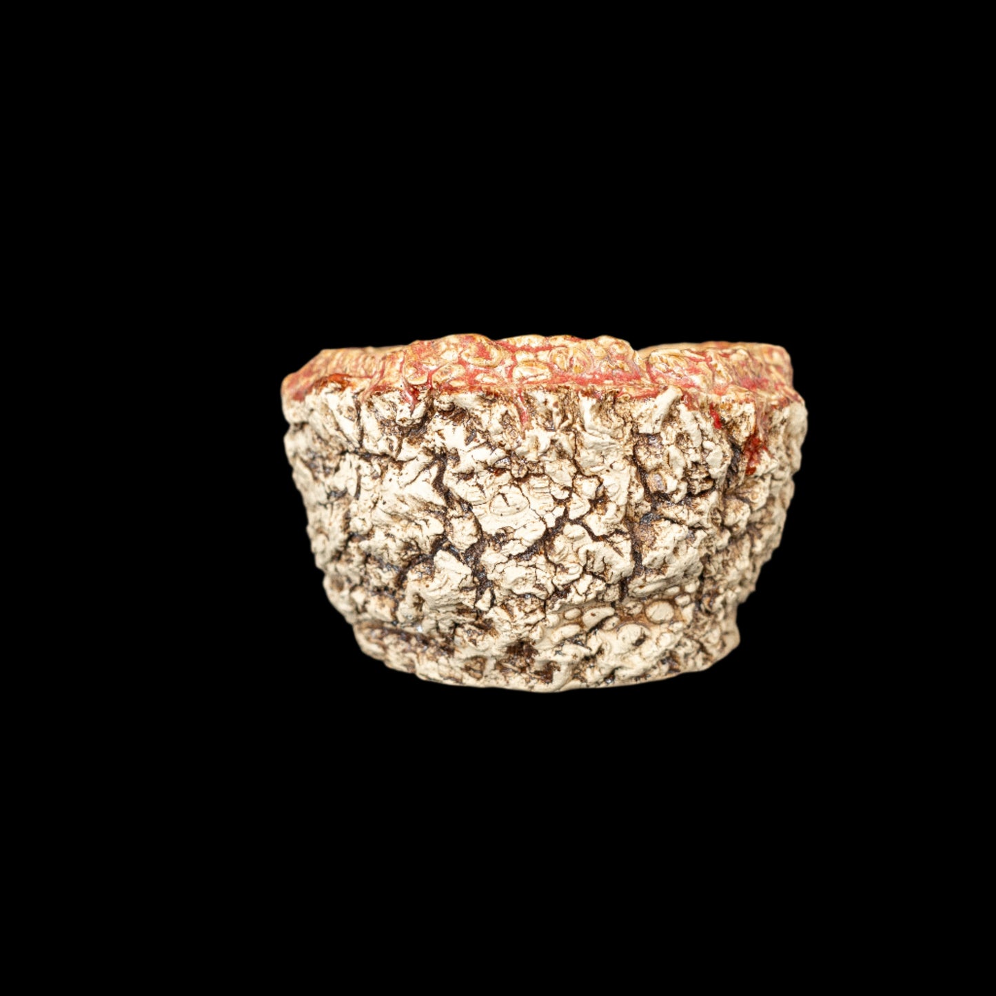 The Treasures of Pompeii #017