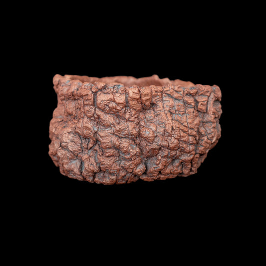 The Treasures of Pompeii #018