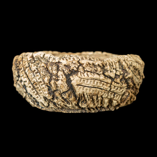 ??The Treasures of Pompeii #019