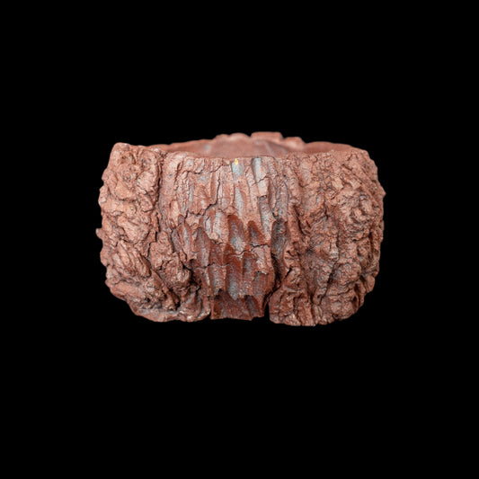 The Treasures of Pompeii #021