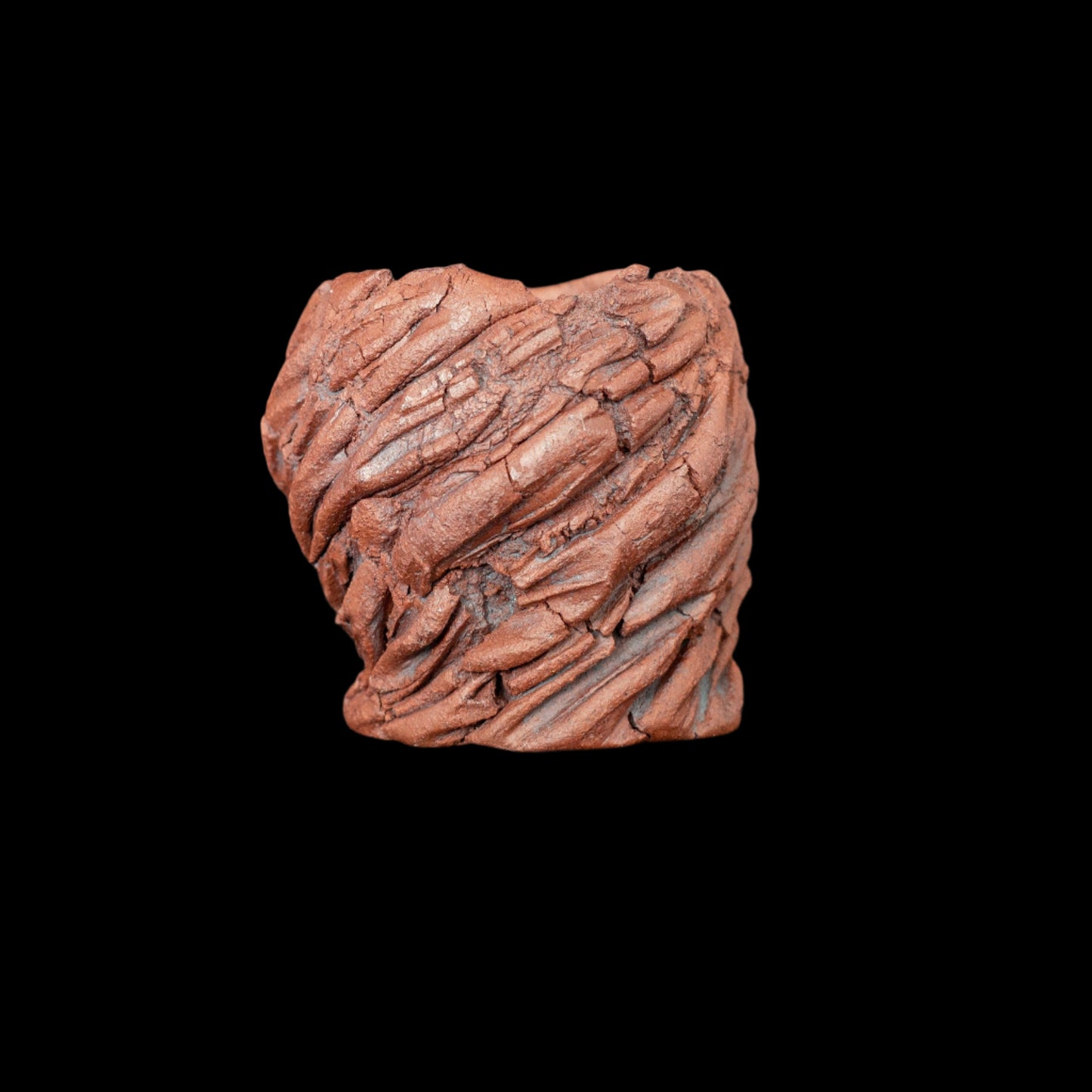 Crevice Corrosion #026