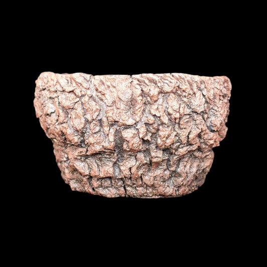 Visceral Erosion #009