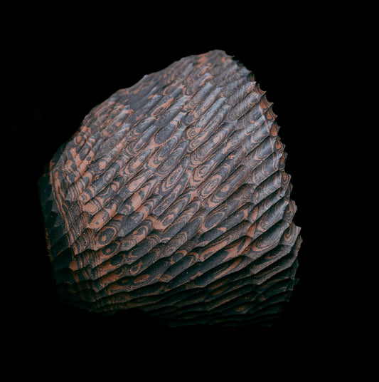 Incised Lateration #033