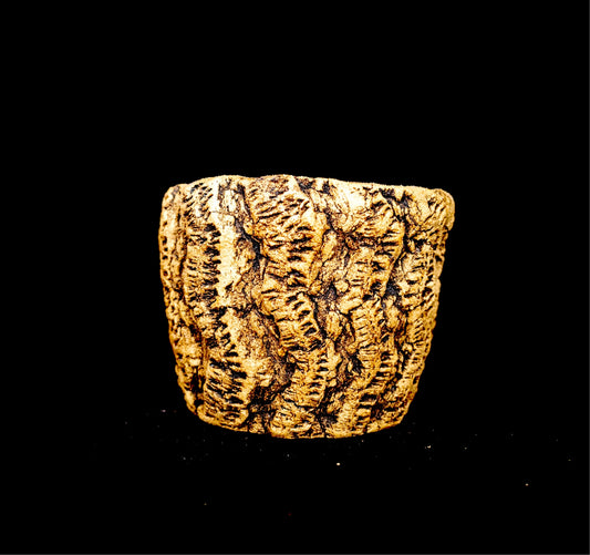 Visceral Erosion #021