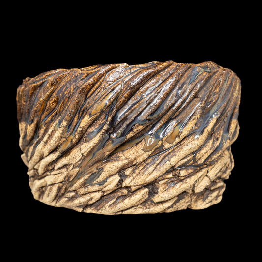 Erratic Striations #001