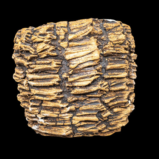 Crevice Corrosion #021