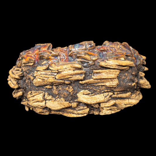 Erratic Striations #010