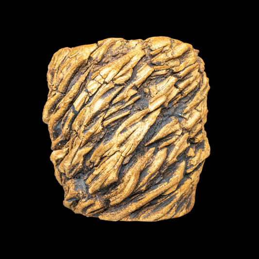 Crevice Corrosion #020