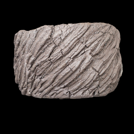 Crevice Corrosion #019