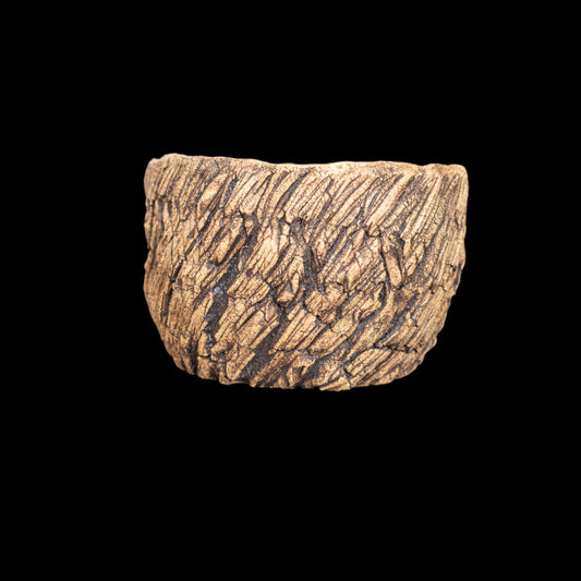 Crevice Corrosion #039