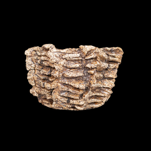 Crevice Corrosion #015