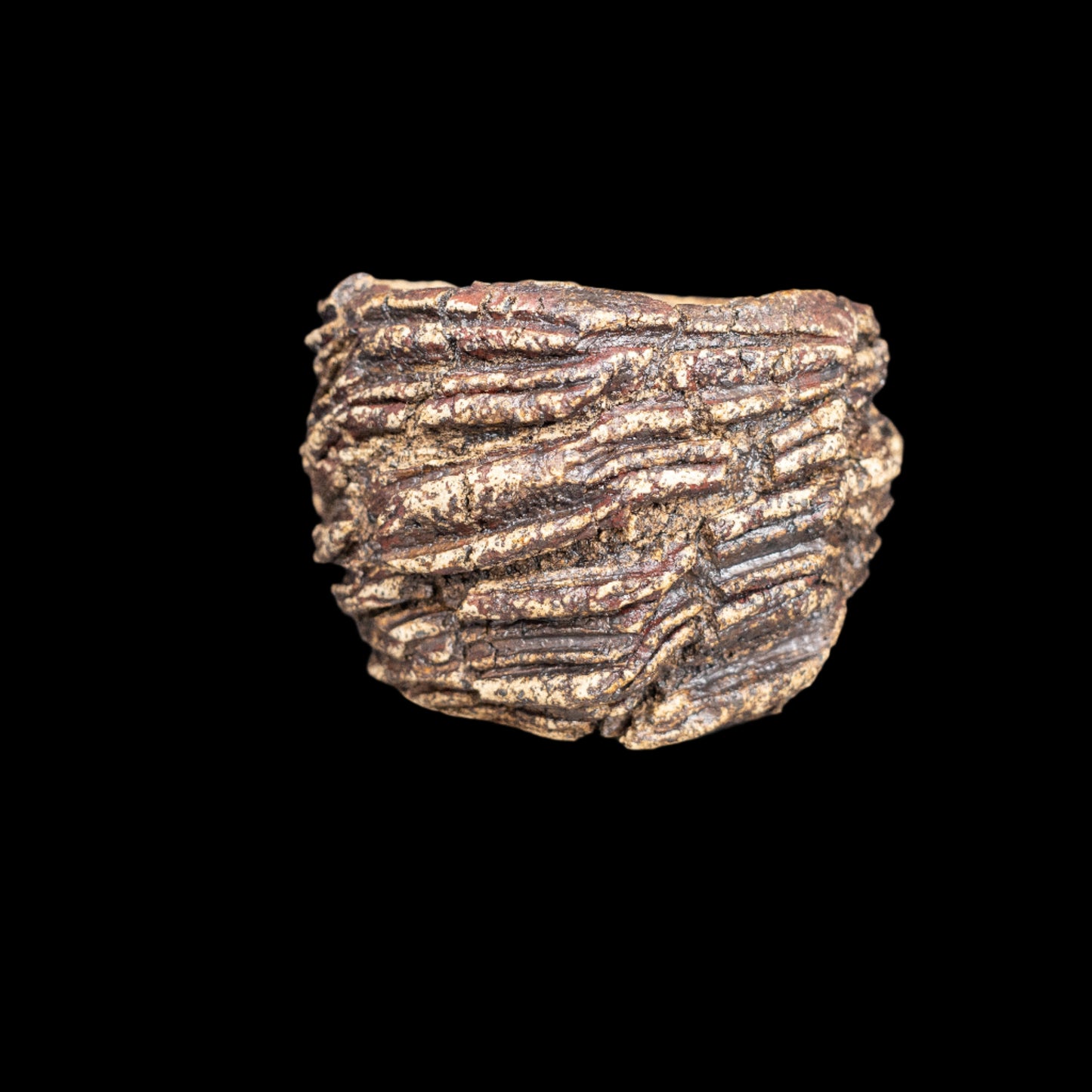 Corrosion caverneuse #010