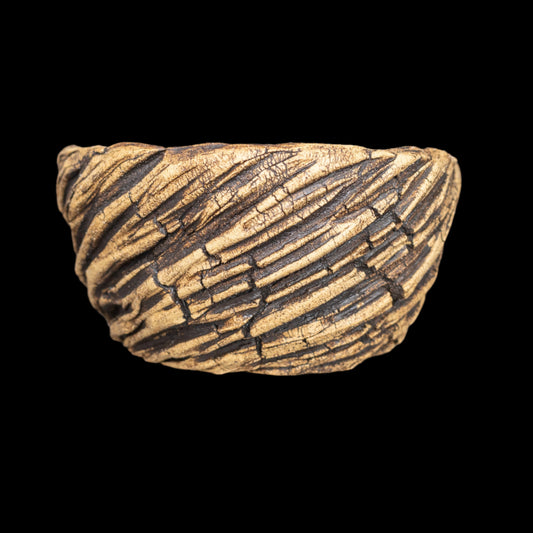 Crevice Corrosion #001