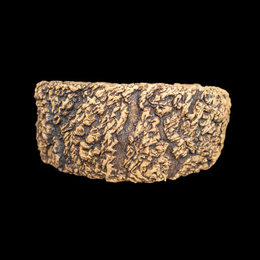 Crevice Corrosion #041