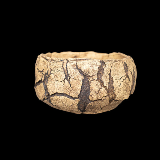 Crevice Corrosion #035