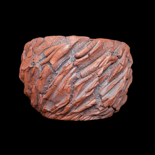 Crevice Corrosion #004