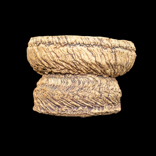 Visceral Erosion #005