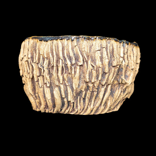 Erratic Striations #024