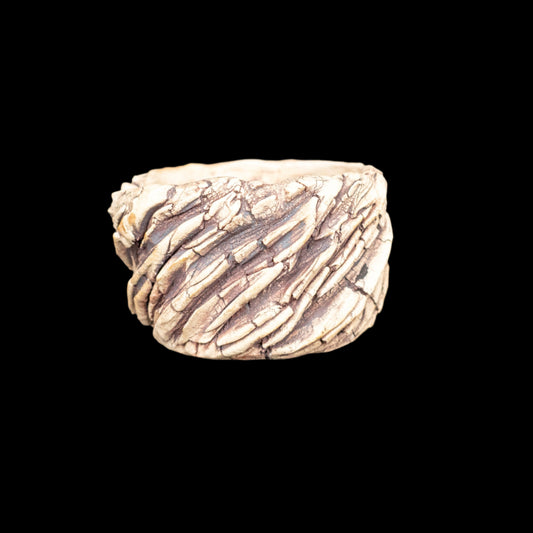 Crevice Corrosion #026