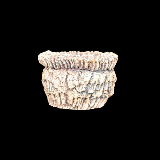 Visceral Erosion #008