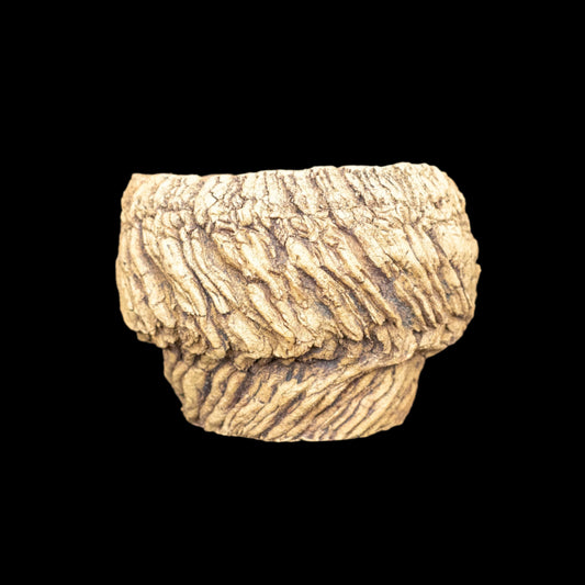 Visceral Erosion #007