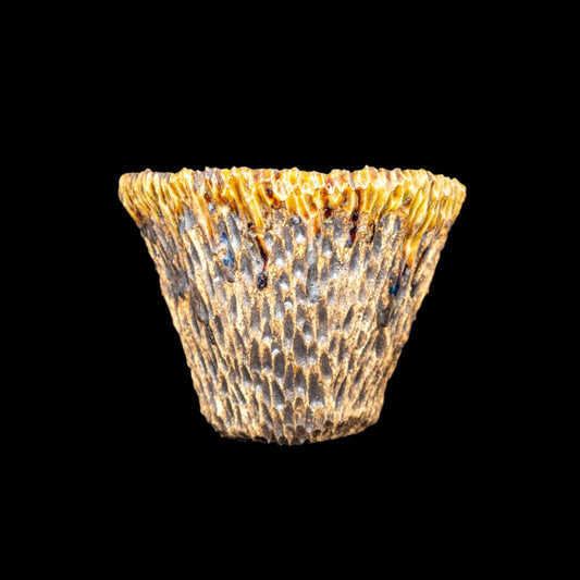 Insiced Laterations #020