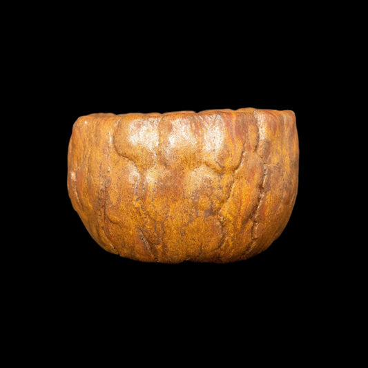 Vibrant Deflection #002