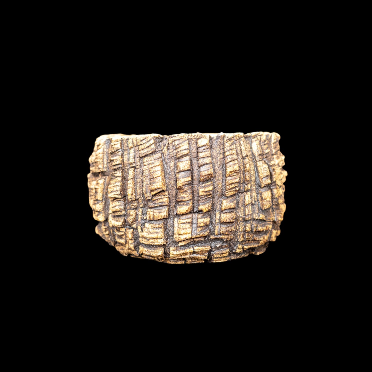 Crevice Corrosion #034