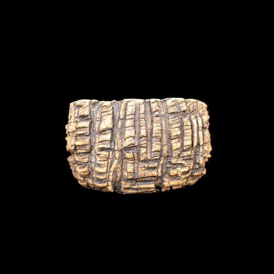 Crevice Corrosion #034