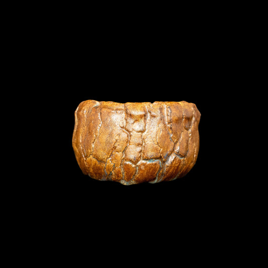 Vibrant Deflection #001