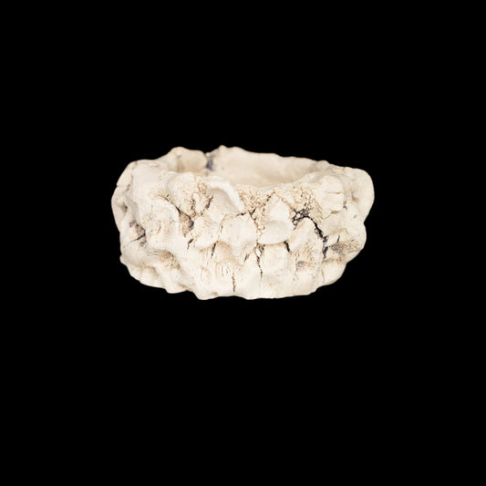 handgefertigter Keramiktopf für Caudexpflanzen, Sukkulenten und Kakteen #047