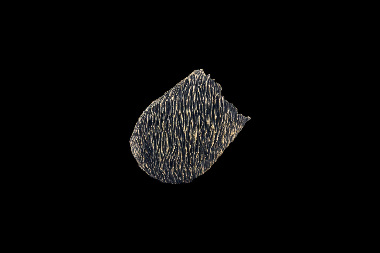 Incised Lateration #104