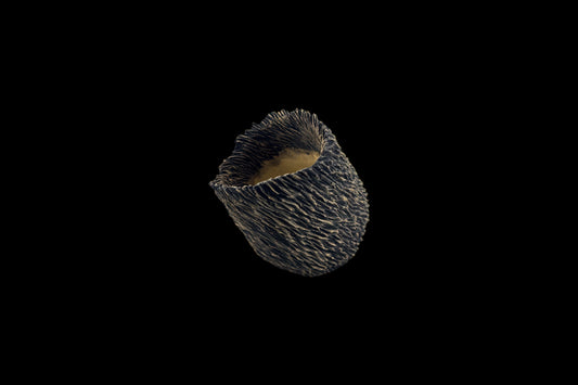 Incised Lateration #104