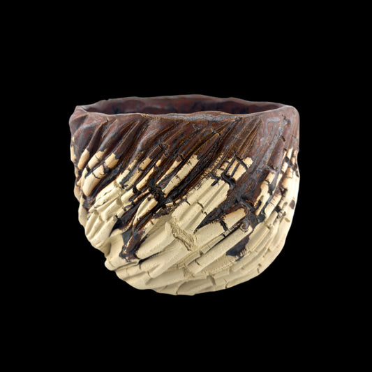 Erratic Striations #032