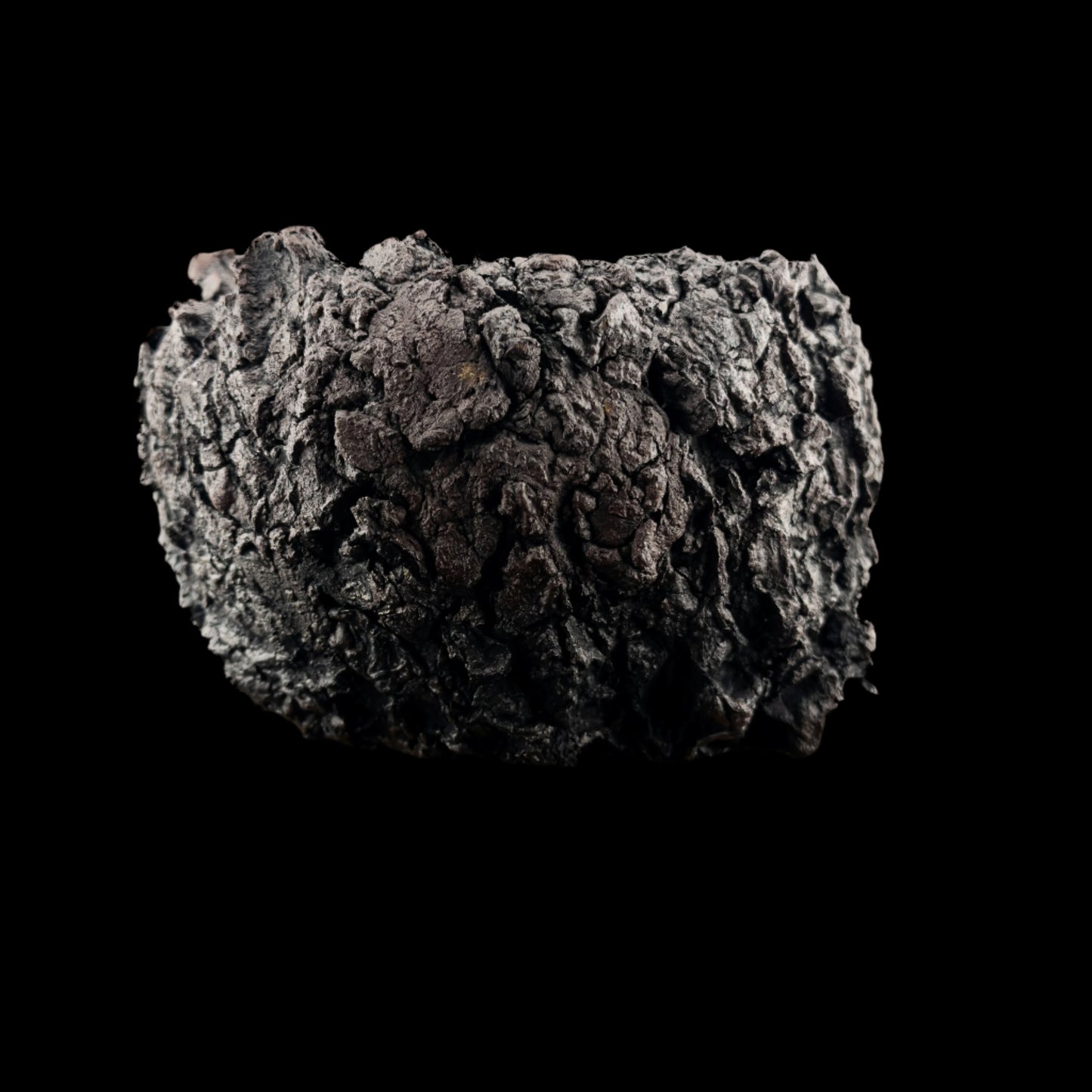 Visceral Erosion #029