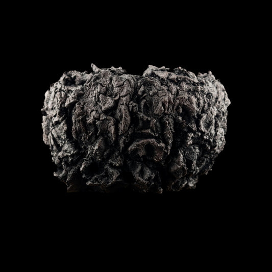 Visceral Erosion #029