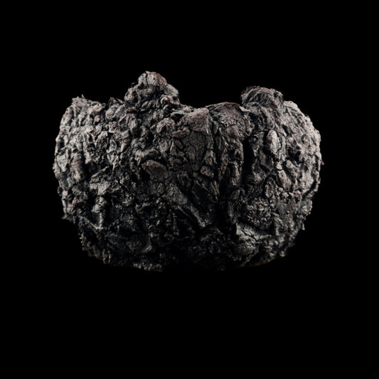 Visceral Erosion #029