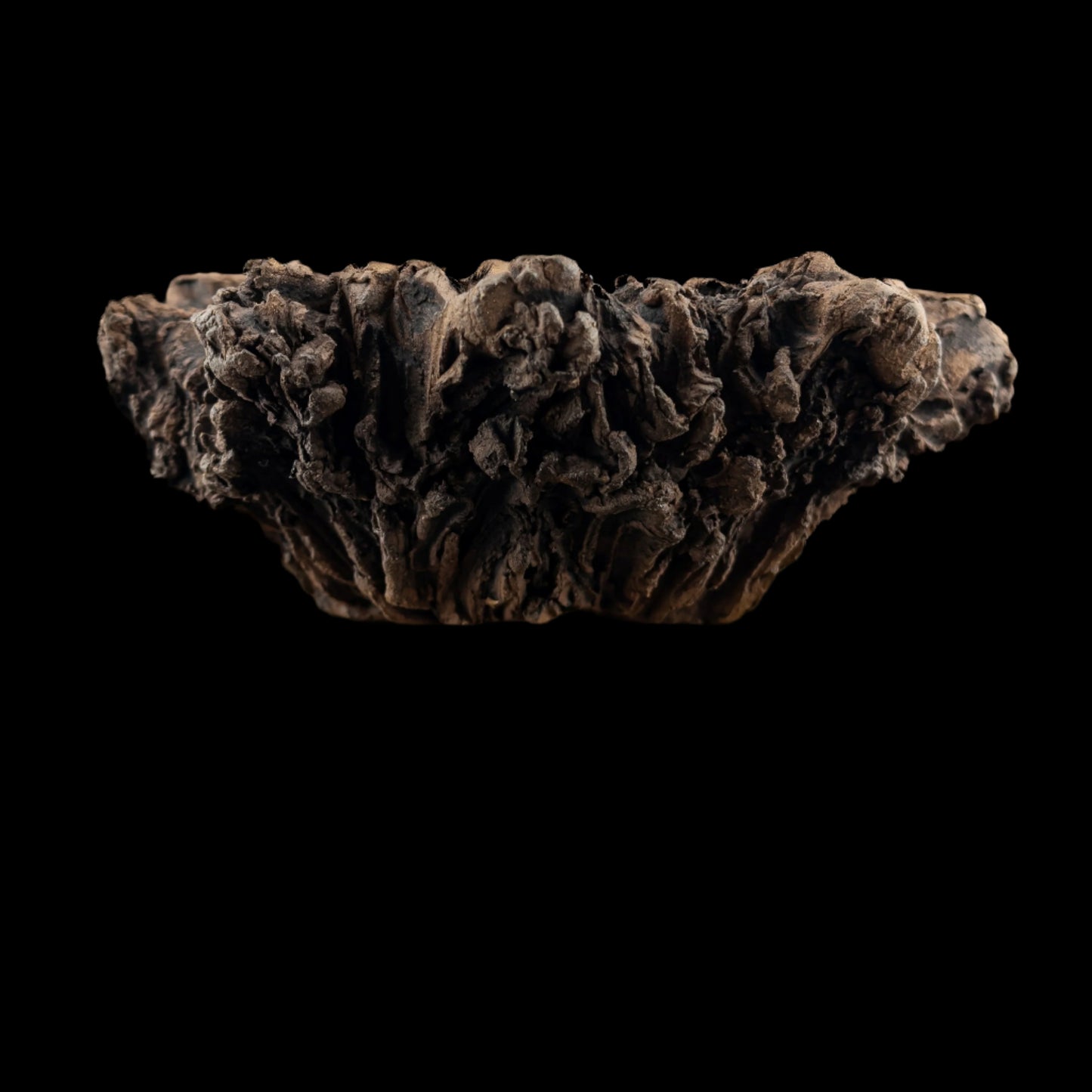 Visceral Erosion #028