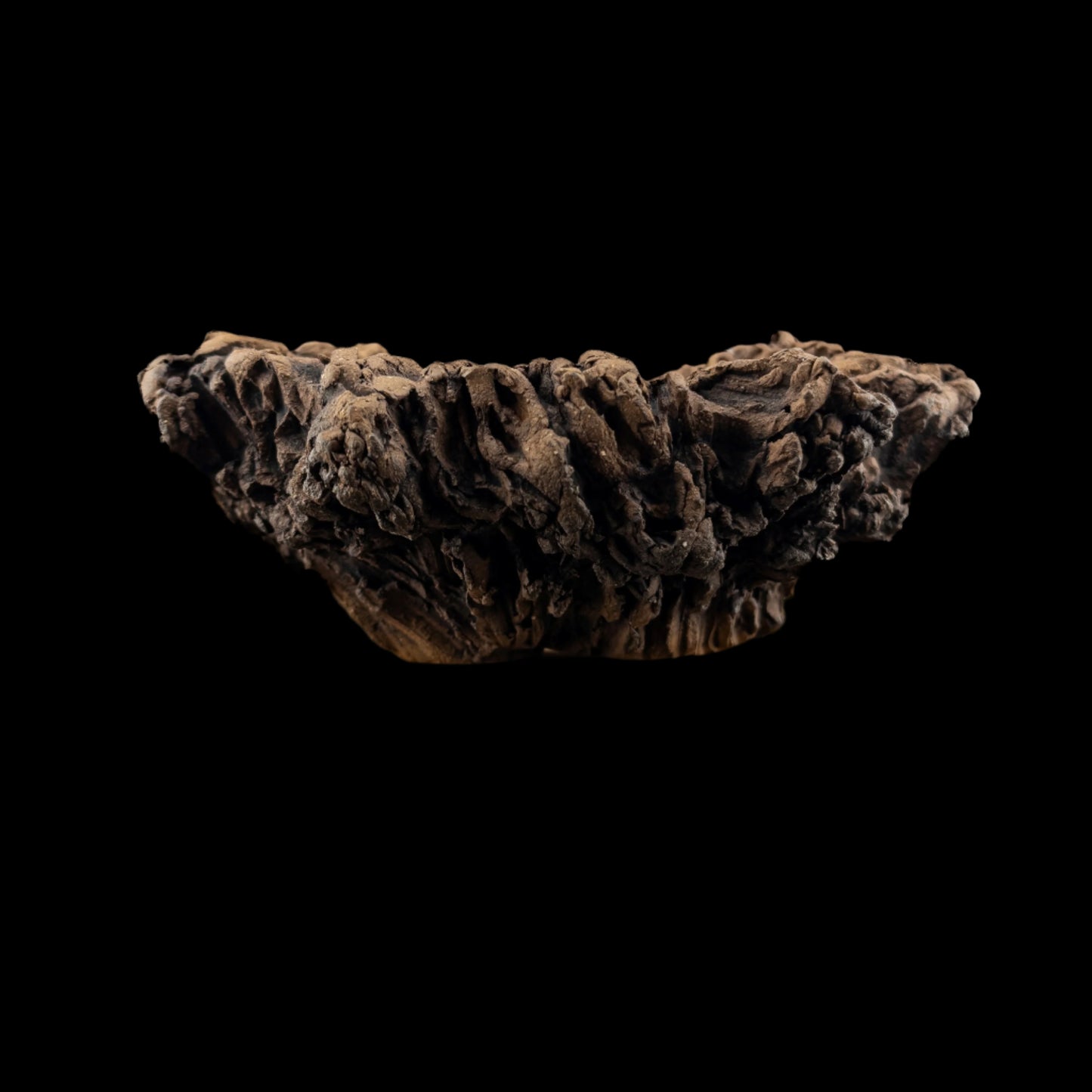 Visceral Erosion #028