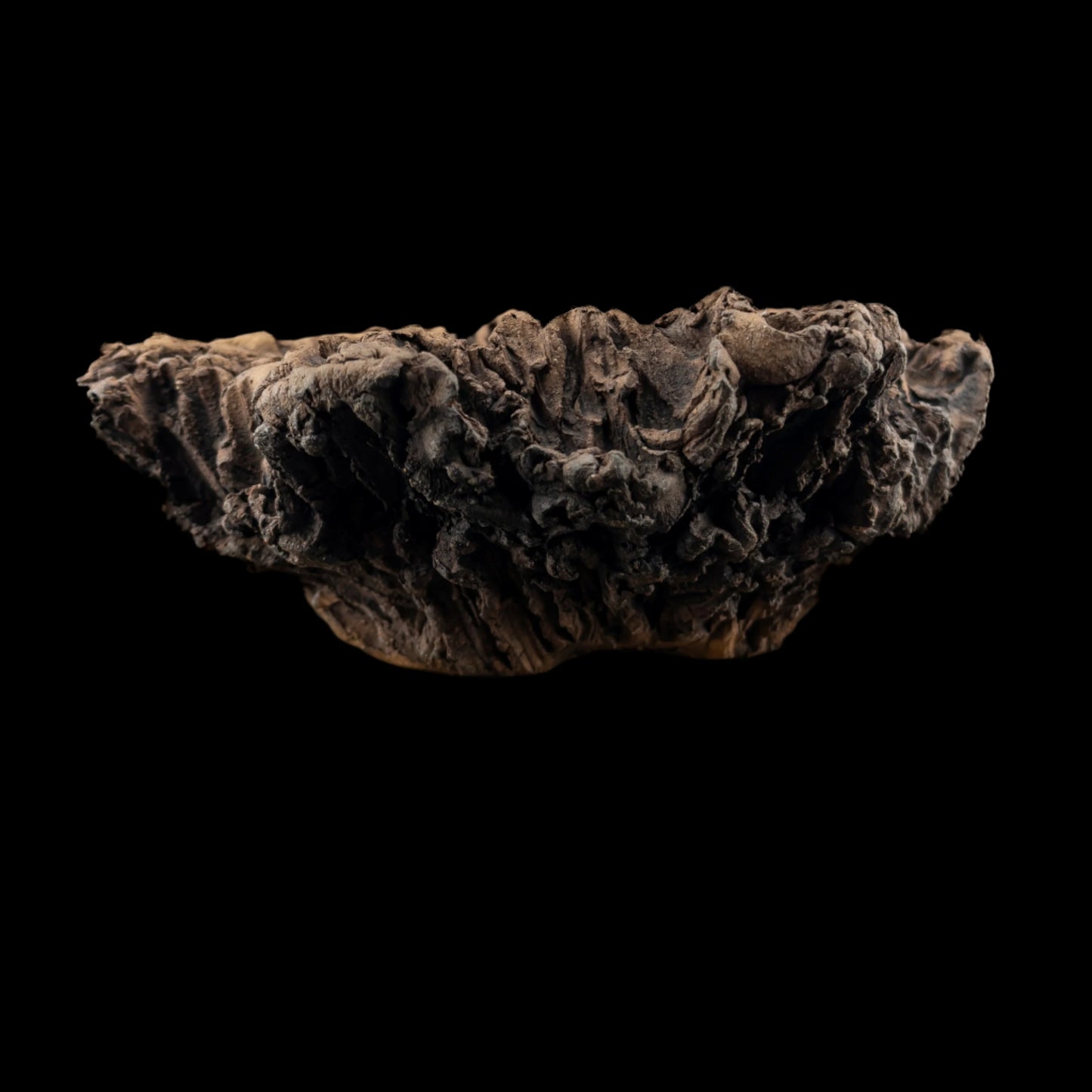 Visceral Erosion #028