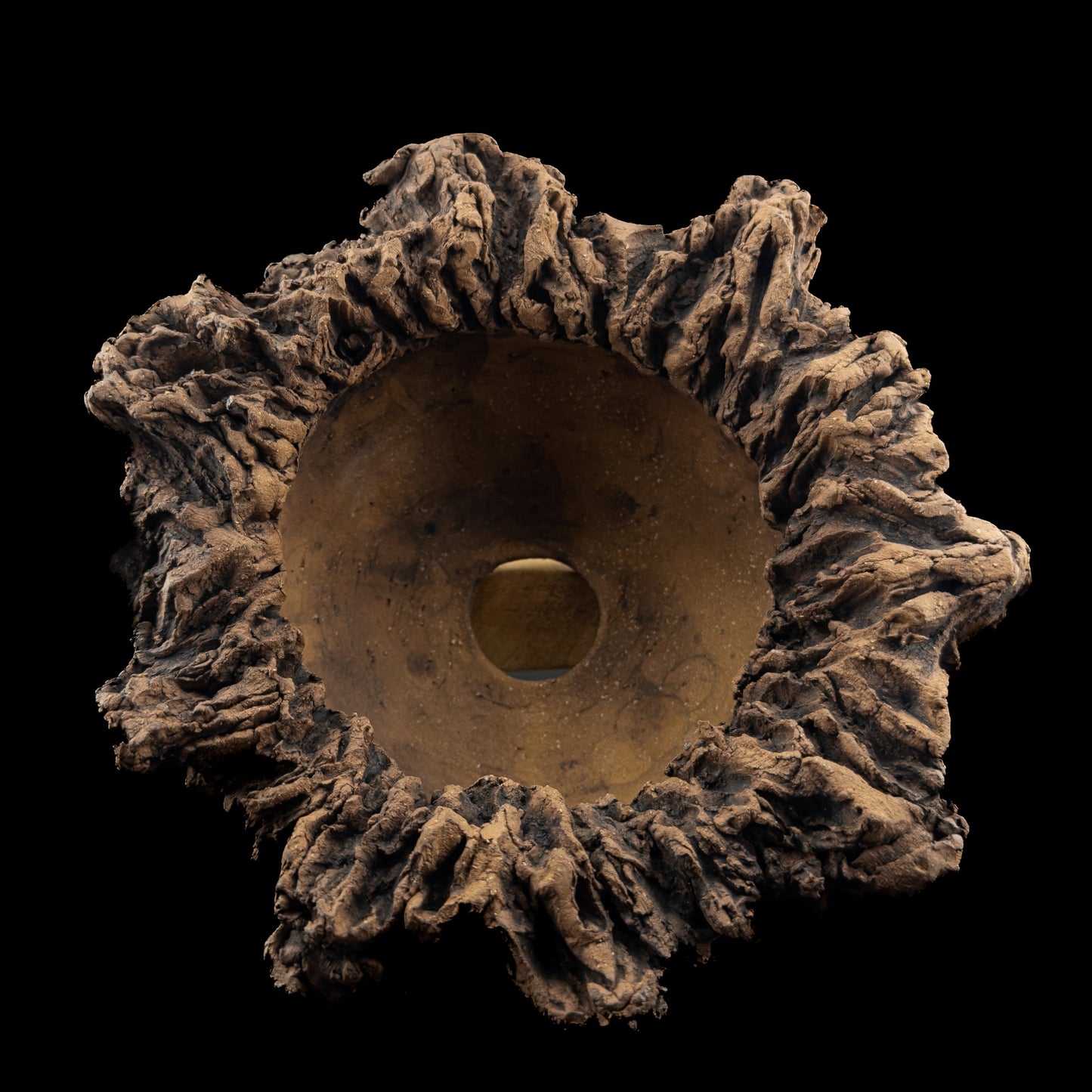 Visceral Erosion #028