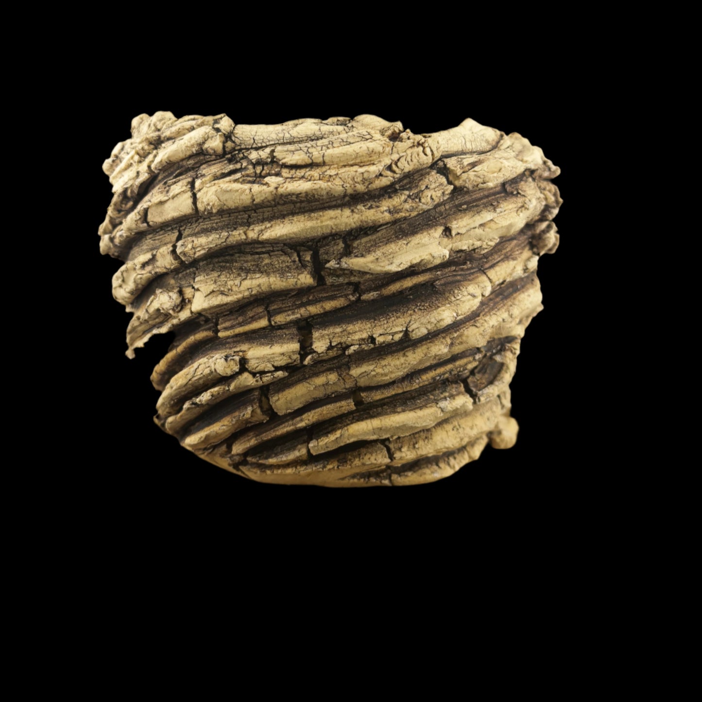 Crevice Corrosion #046