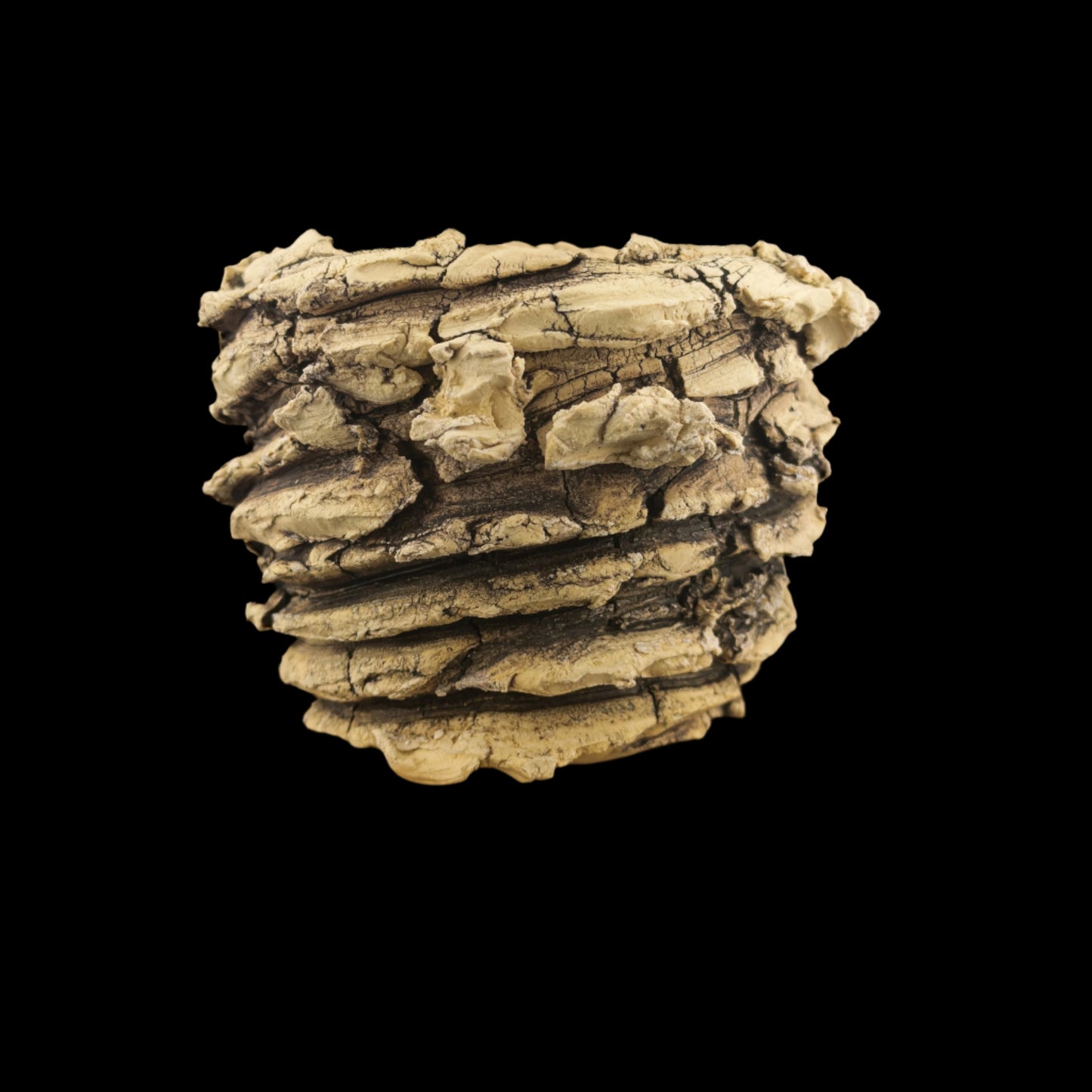 Crevice Corrosion #046