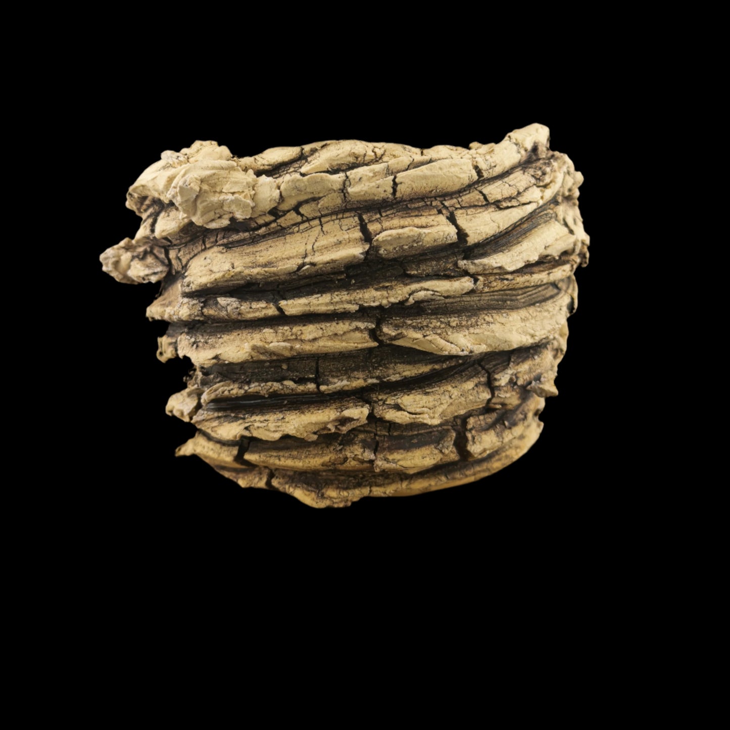 Crevice Corrosion #046